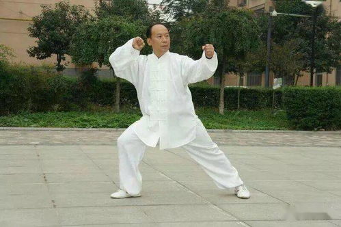 榮耀之光，致敬太極傳承人李海水