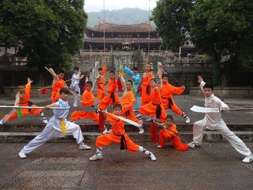 福建武術 從武藝到文化的精神傳承